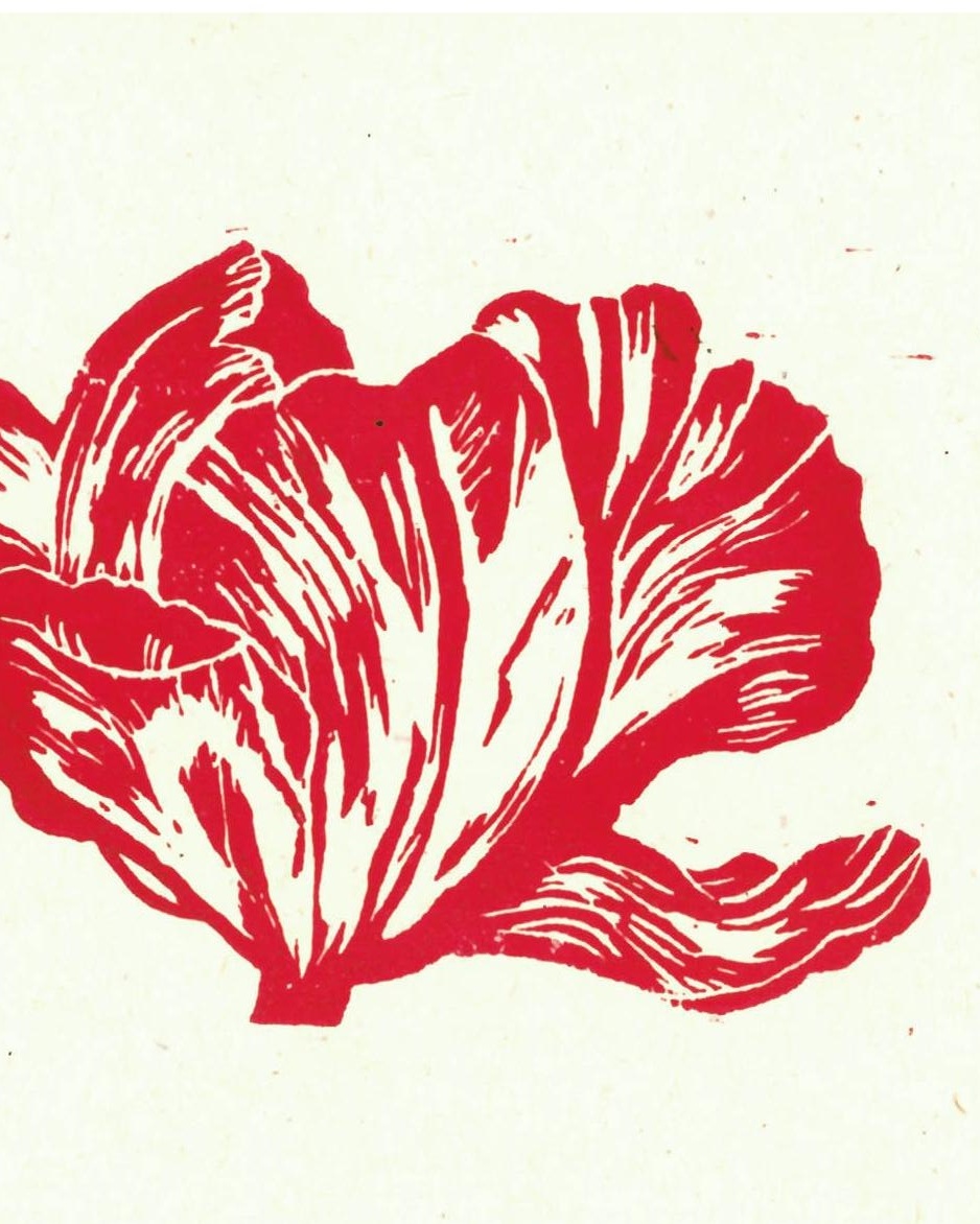 A linoprint of an old dutch-style tulip in red.